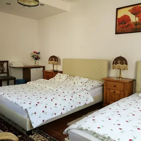 Gosciniec Grek Zorba - I 4 Osobowe - 16km Od Zator Energylandia * انفاود